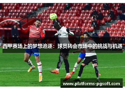 西甲赛场上的梦想追逐：球员转会市场中的挑战与机遇