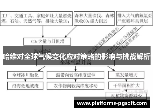 哈维对全球气候变化应对策略的影响与挑战解析 哈维对全球气候变化应对策略的影响与挑战解析