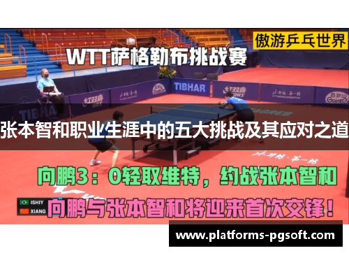 张本智和职业生涯中的五大挑战及其应对之道