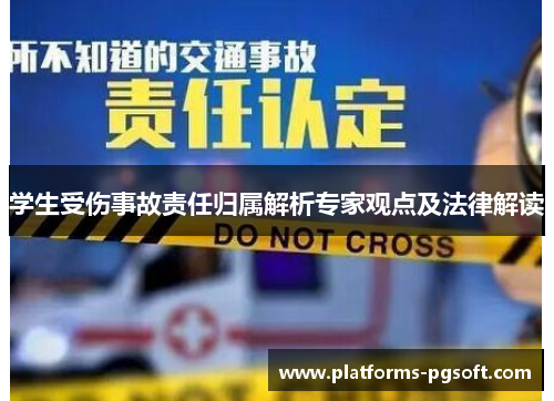 学生受伤事故责任归属解析专家观点及法律解读 学生受伤事故责任归属解析专家观点及法律解读