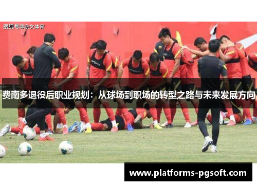 费南多退役后职业规划：从球场到职场的转型之路与未来发展方向