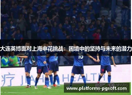 大连英博面对上海申花挑战：困境中的坚持与未来的潜力