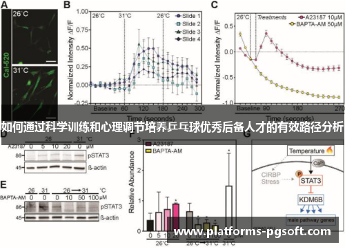 如何通过科学训练和心理调节培养乒乓球优秀后备人才的有效路径分析