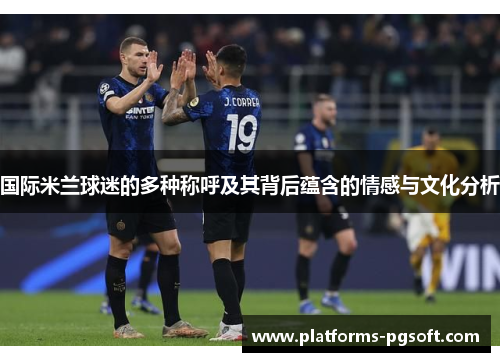 国际米兰球迷的多种称呼及其背后蕴含的情感与文化分析 国际米兰球迷的多种称呼及其背后蕴含的情感与文化分析