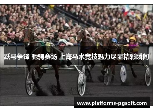 跃马争锋 驰骋赛场 上海马术竞技魅力尽显精彩瞬间